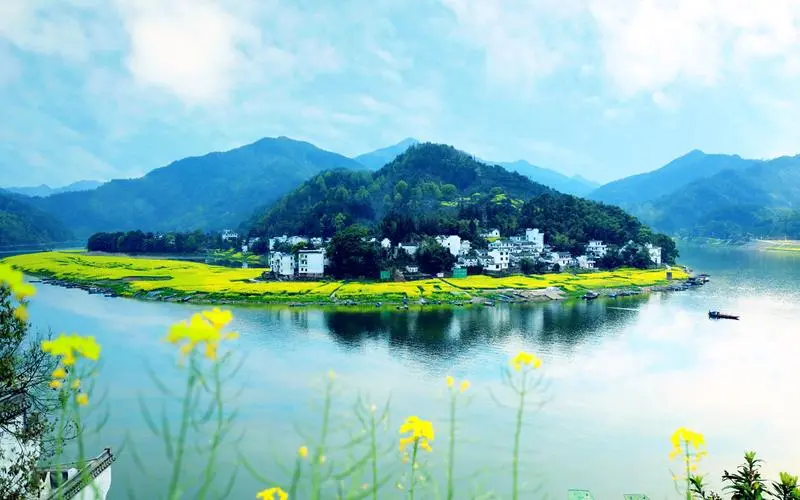 节能电子先进